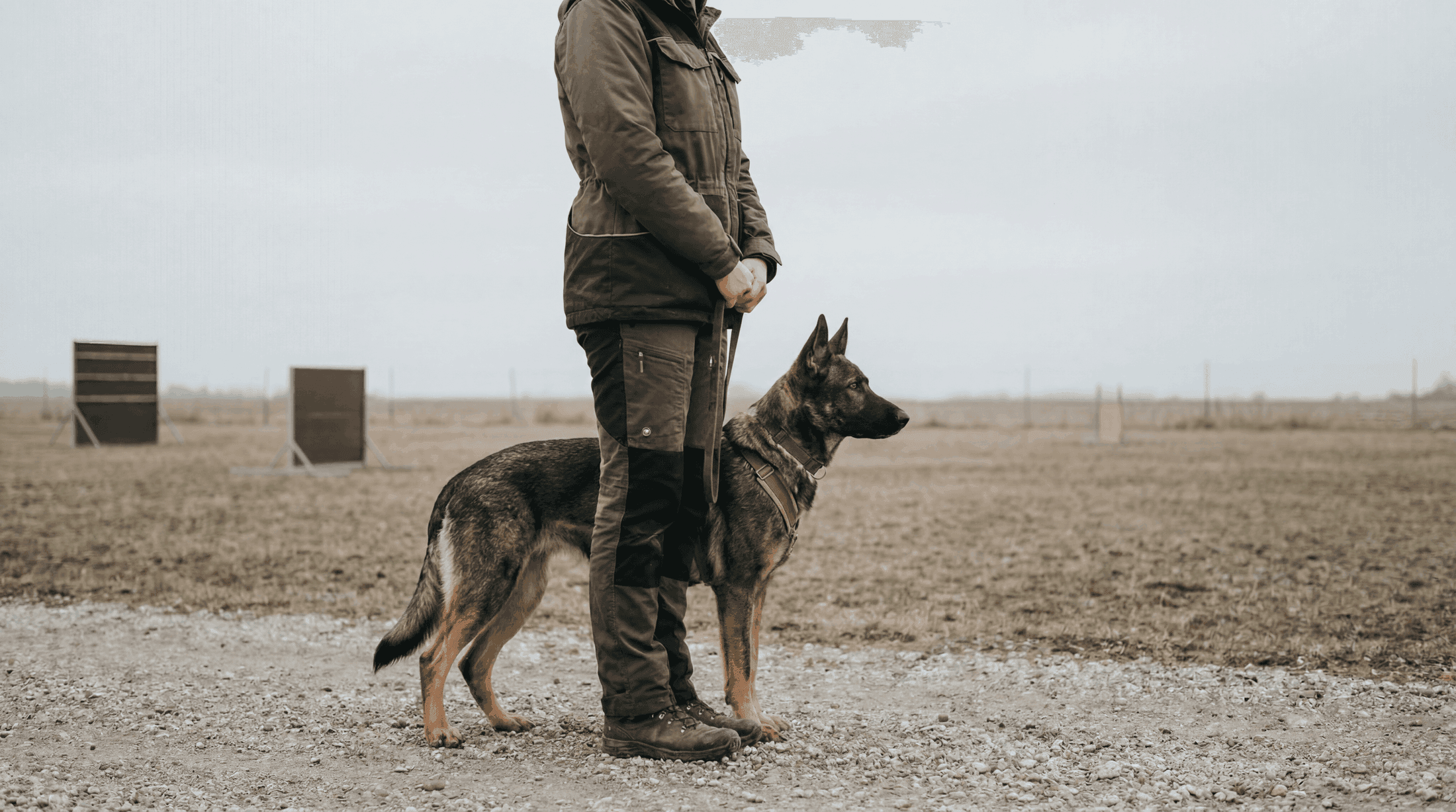 Entrenador profesional canino certificado por Cooper trabajando con un perro