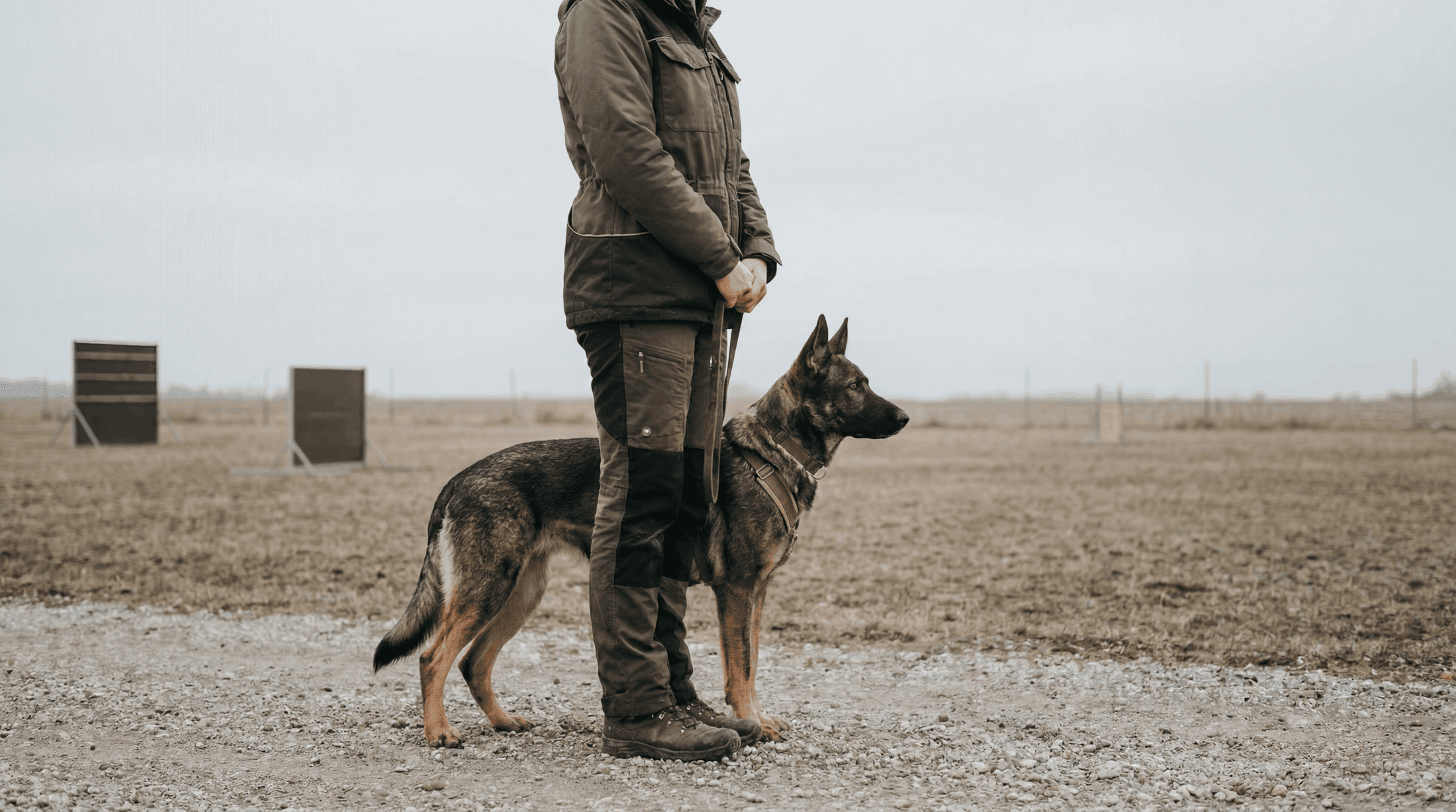 adiestrador de perros en Beccar