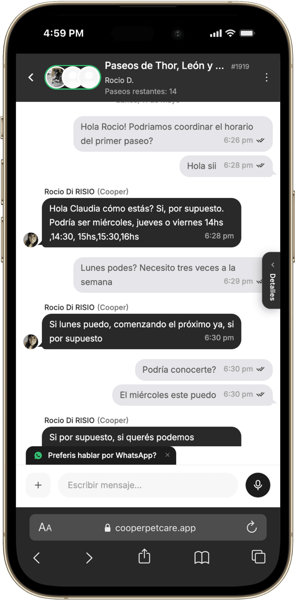 Paso 3: Elegís y coordinan